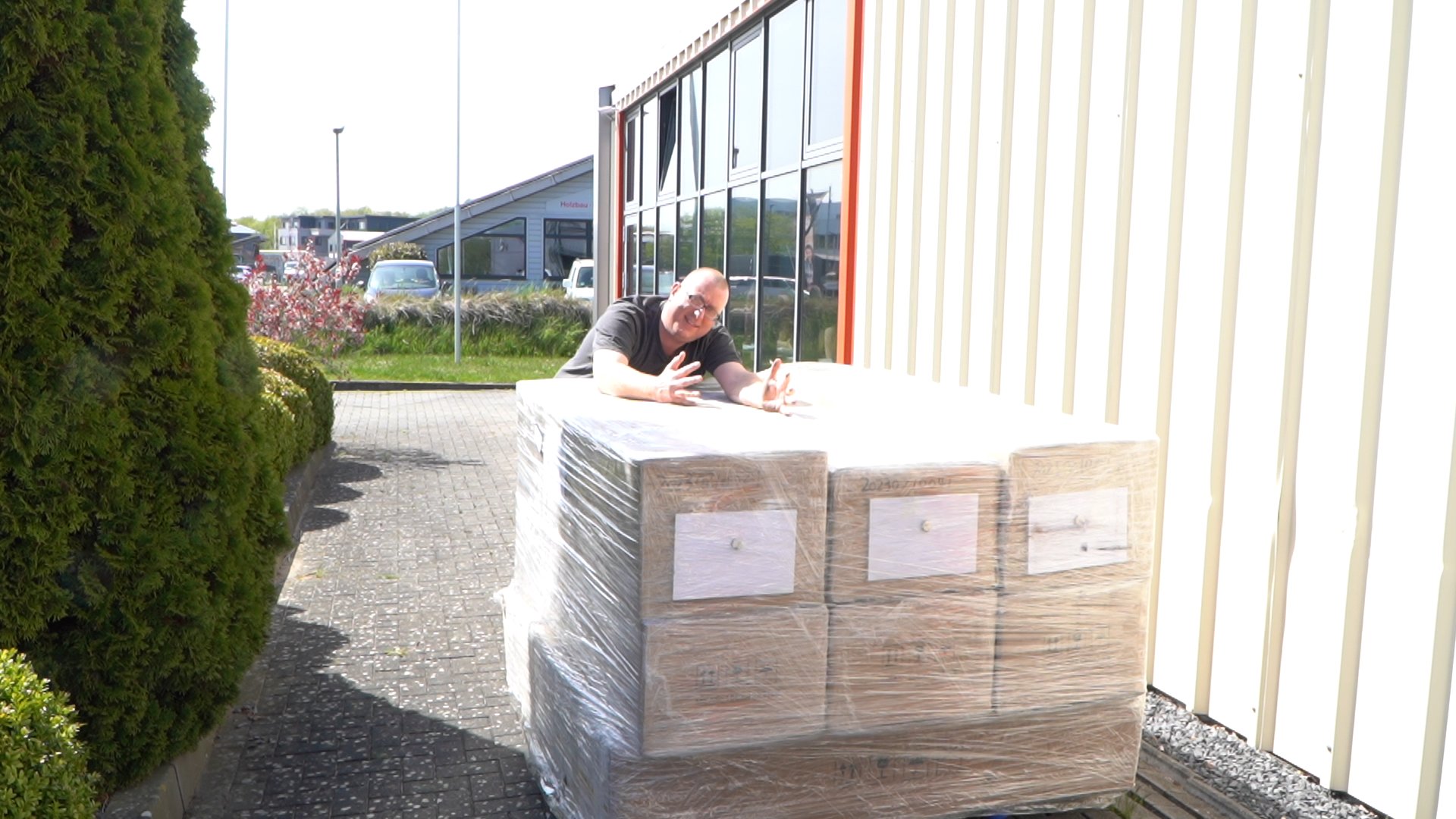 Neue Dolls von Zelex sofort lieferbar!