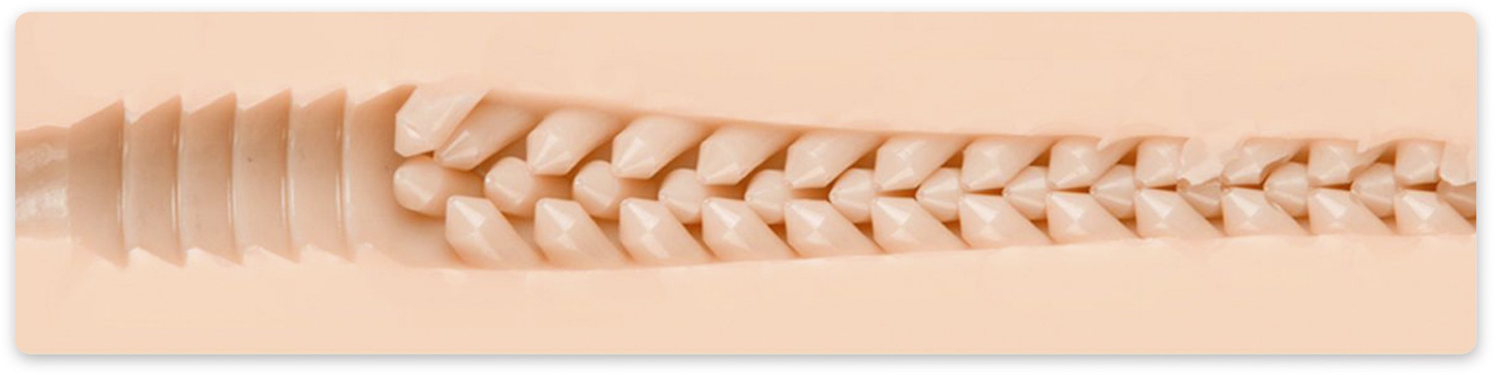 Liebeskanal der Fleshlight Jenna Haze